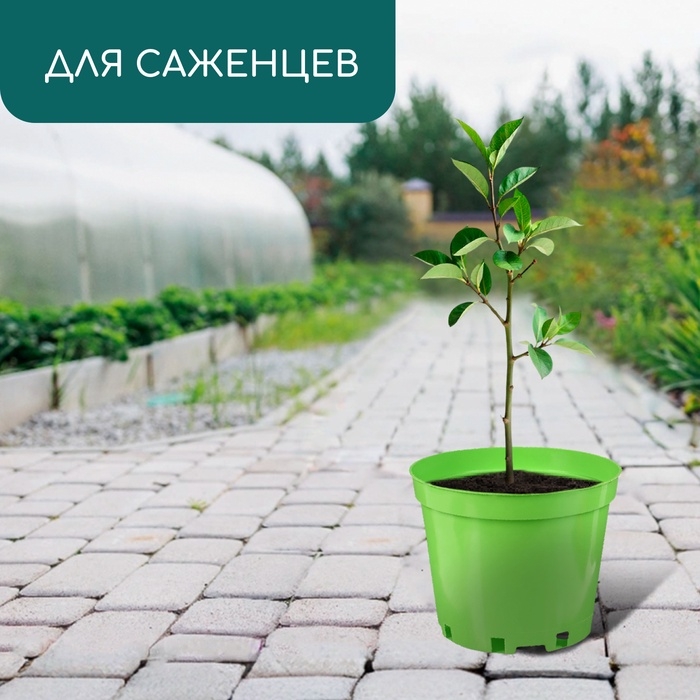 Горшок для рассады, 5 л, d = 22 см, h = 18 см, пластик, зелёный, Greengo Горшок для рассады, 5 л, d = 22 см, h = 18 см, пластик, зелёный, Greengo