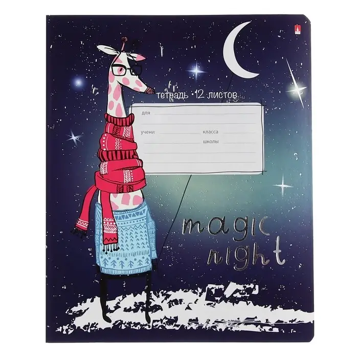 Тетрадь 12 листов в линию MAGIC NIGHT, обложка мелованный картон, фольгирование, МИКС
