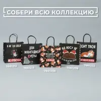 Пакет подарочный новогодний &laquo;Рожа&raquo;, 22 х 22 х 11 см