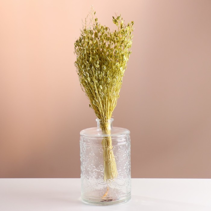 Набор сухоцветов Набор сухоцветов "Монетник", банч длина 60 (+/- 6 см), зелёный