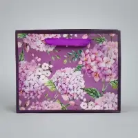 Пакет подарочный крафтовый, упаковка, &laquo;Самой лучшей&raquo;, MS 23 х 18 х 10 см