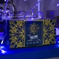 Гирлянда &laquo;Бахрома&raquo; 3&times;0.6 м, IP44, УМС, прозрачная нить, 160 LED, свечение синее, мерцание белым, 220 В