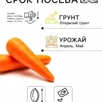 Семена на ленте Морковь &laquo;Лосиноостровская 13&raquo;, 8 м, &laquo;Росток-гель&raquo;