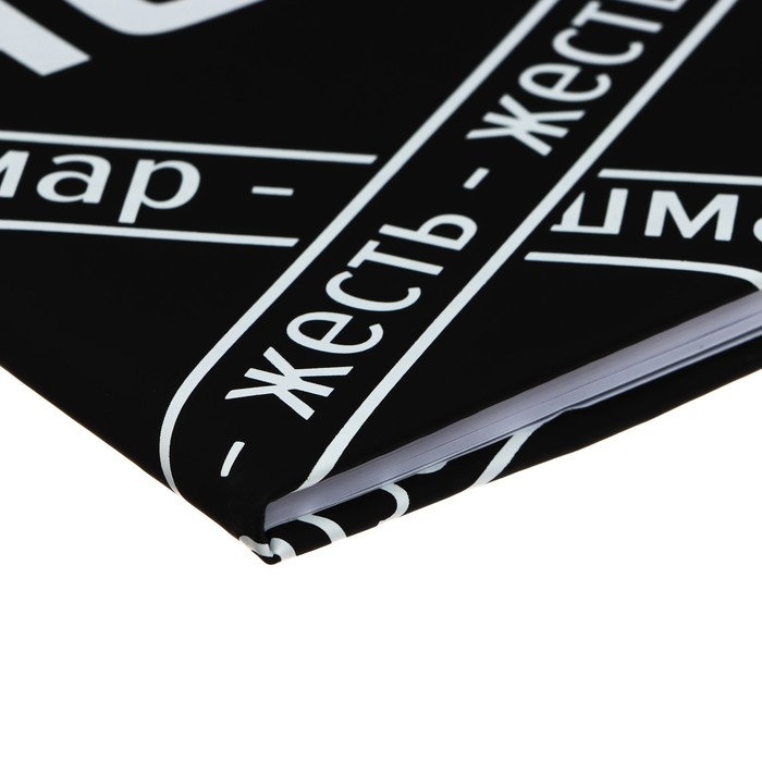 Дневник универсальный для 1-11 класса "Все Норм", твёрдая обложка, искусственная кожа, с поролоном, ляссе, 80 г/м2