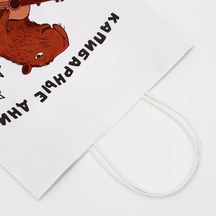 Пакет подарочный бумажный, «Капибарные дни», 24×10.5×32 см Пакет подарочный бумажный, «Капибарные дни», 24×10.5×32 см