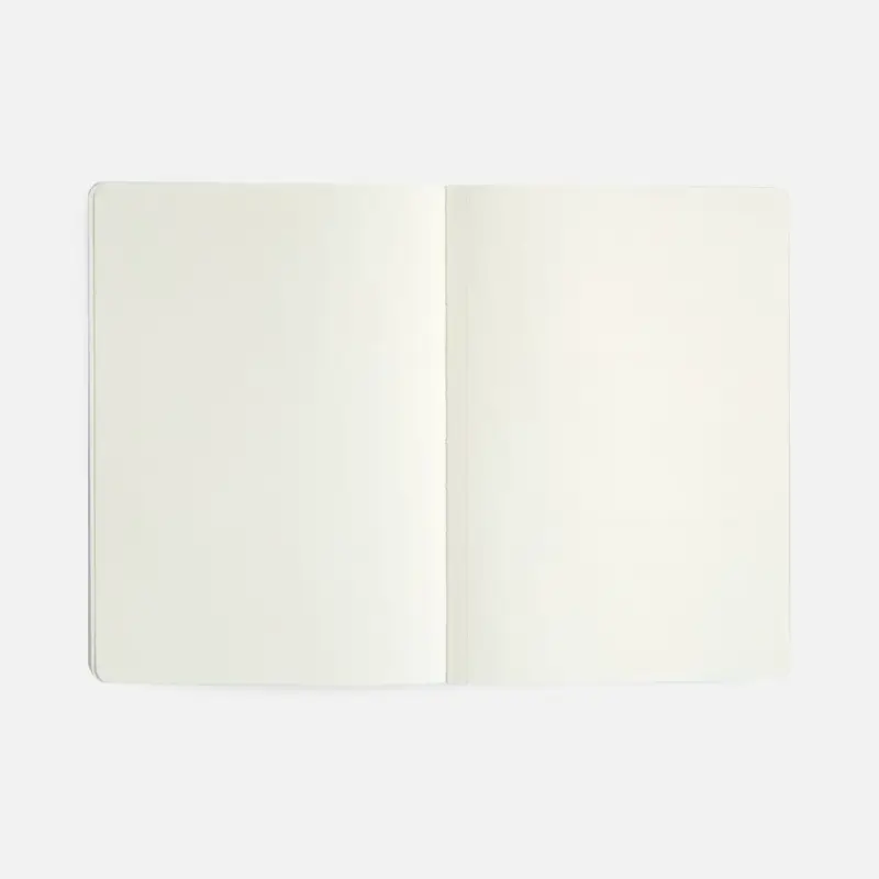 Ежедневник Vale New, недатированный, оранжевый Ежедневник Vale New, недатированный, оранжевый