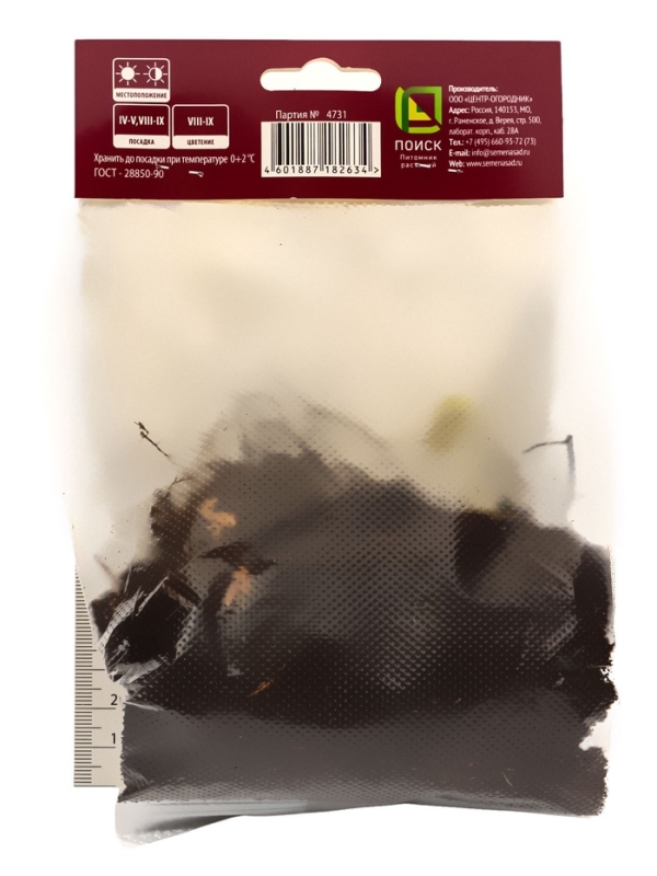 Клопогон простой, р-р I, 1 шт, Весна 2025