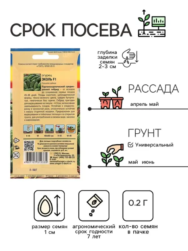 Семена Огурец "Эколь" F1, 0,2 г.