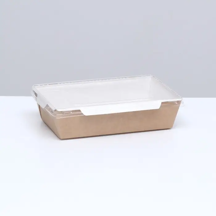 Контейнер с плоской крышкой, крафт, 0,8 л, 19 х 13 х 5,5 см Контейнер с плоской крышкой, крафт, 0,8 л, 19 х 13 х 5,5 см