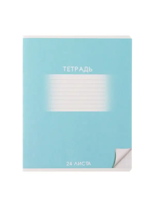 Комплект тетрадей из 10 штук, 24 листа в клетку Calligrata "Школьная", обложка мелованный картон, ВД-лак, блок офсет, 5 видов по 2 штуки