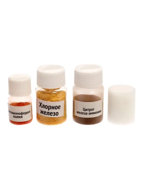 Набор для опытов ЭВРИКИ &laquo;Цианотипия&raquo;, фотографии без фотокамеры