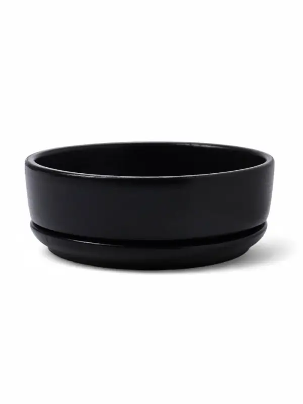 Горшок бонсайница 0,7 л, 15×5,5 см для кактусов и суккулентов черный, керамика Горшок бонсайница 0,7 л, 15×5,5 см для кактусов и суккулентов черный, керамика "Огма"