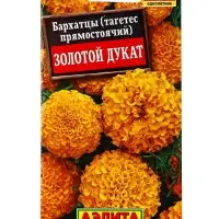 Семена цветов Бархатцы Золотой дукат прямостоячие , Ц/П,7 шт. Семена цветов Бархатцы Золотой дукат прямостоячие , Ц/П,7 шт.