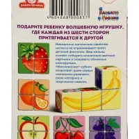 Кубики магнитные Татой &laquo;Фрукты&raquo;