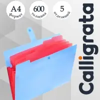 Папка А4, 5 отделений, Calligrata, 600 мкм, на кнопке, голубая, матовая