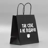 Пакет подарочный, упаковка, &laquo;Так себе, а не подарок&raquo;, 22&times;22&times;11 см
