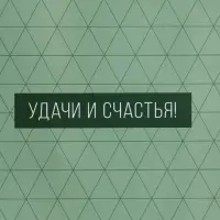 Пакет подарочный ламинированный &laquo;Минимализм в деталях&raquo;, травяной, 18&times;22.3&times;10 см