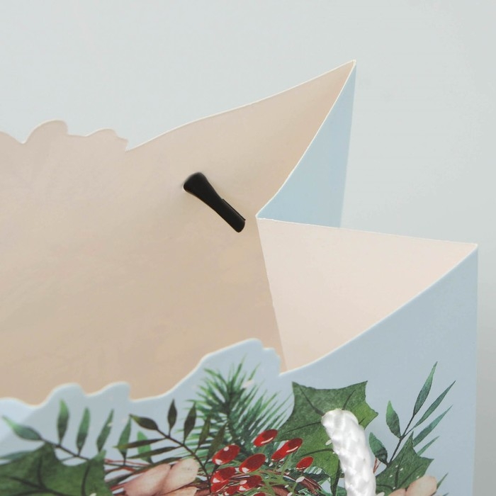 Пакет подарочный новогодний «Венок», 25 х 26 х 10 см, Новый год Пакет подарочный новогодний «Венок», 25 х 26 х 10 см, Новый год