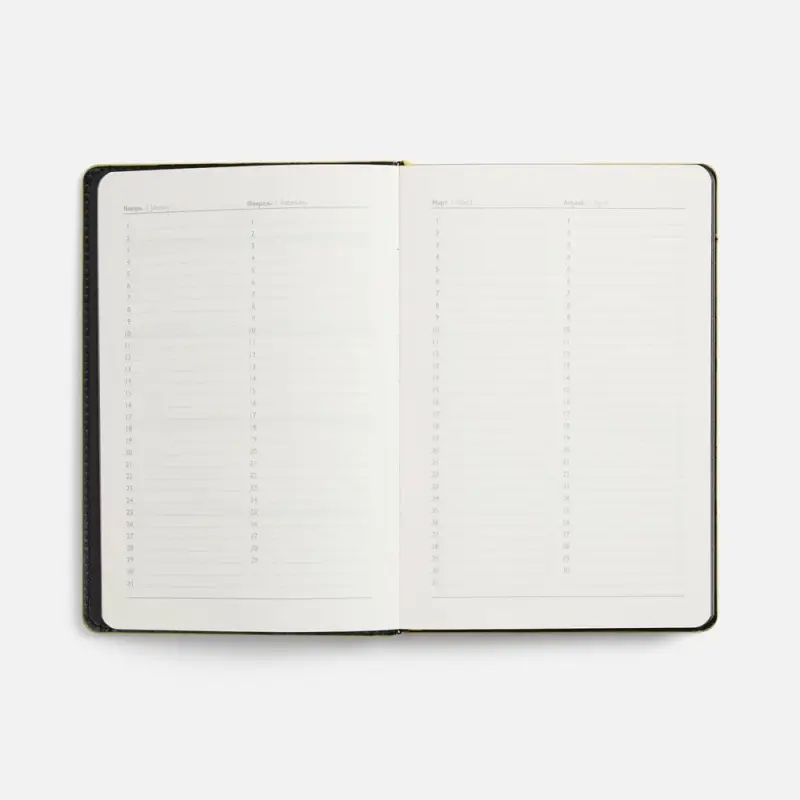 Ежедневник Alanis, недатированный, черный c желтым Ежедневник Alanis, недатированный, черный c желтым