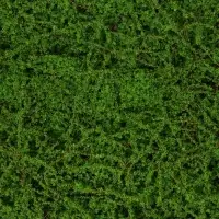 Декоративная панель, 90&times;40 см, &laquo;Мох&raquo;, Greengo