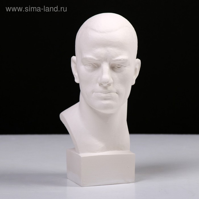 Гипсовая фигура известные люди: Бюст Маяковского, 9,5 х 11 х 23 см Гипсовая фигура известные люди: Бюст Маяковского, 9,5 х 11 х 23 см