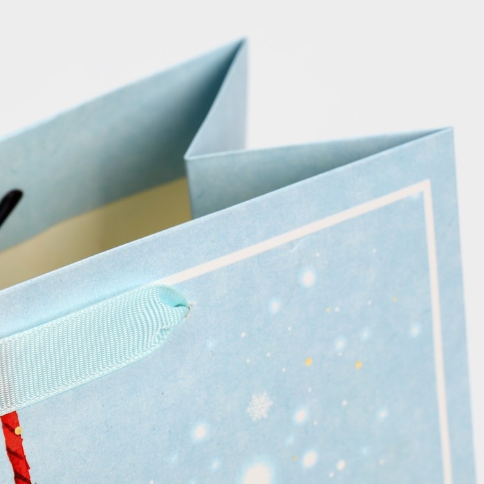 Пакет подарочный новогодний ламинированный &laquo;Два зайчика&raquo;, ML 23 х 27 х 11,5 см, Новый год