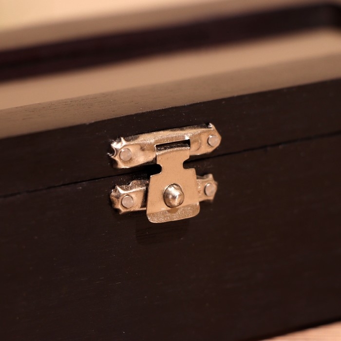 Игра настольная  Игра настольная "Домино" в шкатулке 20х7х4 см, дерево шишам