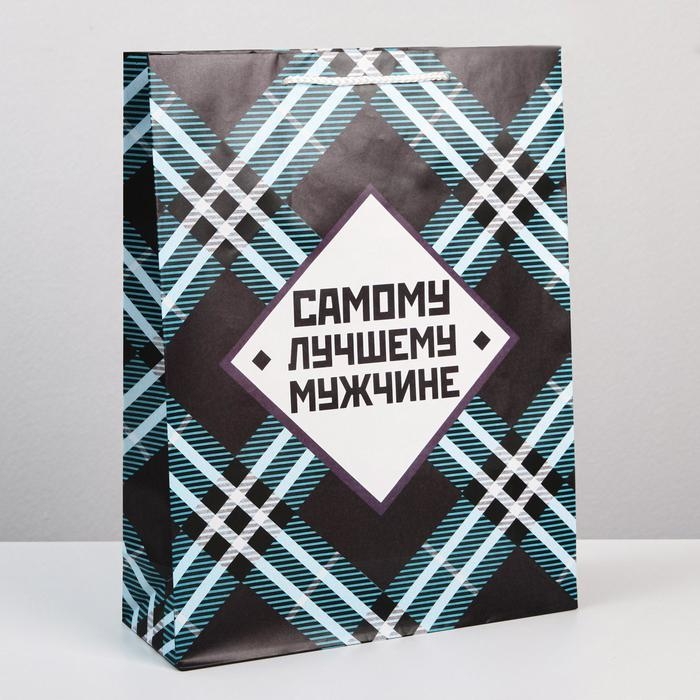 Пакет подарочный ламинированный, упаковка, «Самому лучшему мужчине», L 28 х 38 х 9 см Пакет подарочный ламинированный, упаковка, «Самому лучшему мужчине», L 28 х 38 х 9 см