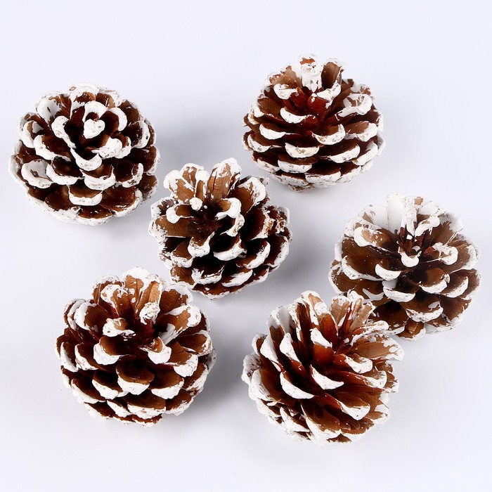 Новый год! Декоративное украшение «Набор шишек» 6 шт., 17 × 11 × 6 см Новый год! Декоративное украшение «Набор шишек» 6 шт., 17 × 11 × 6 см