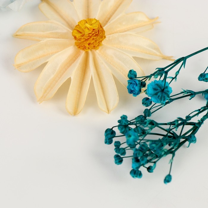 Набор сухоцветов «Лето на побережье» Набор сухоцветов «Лето на побережье»