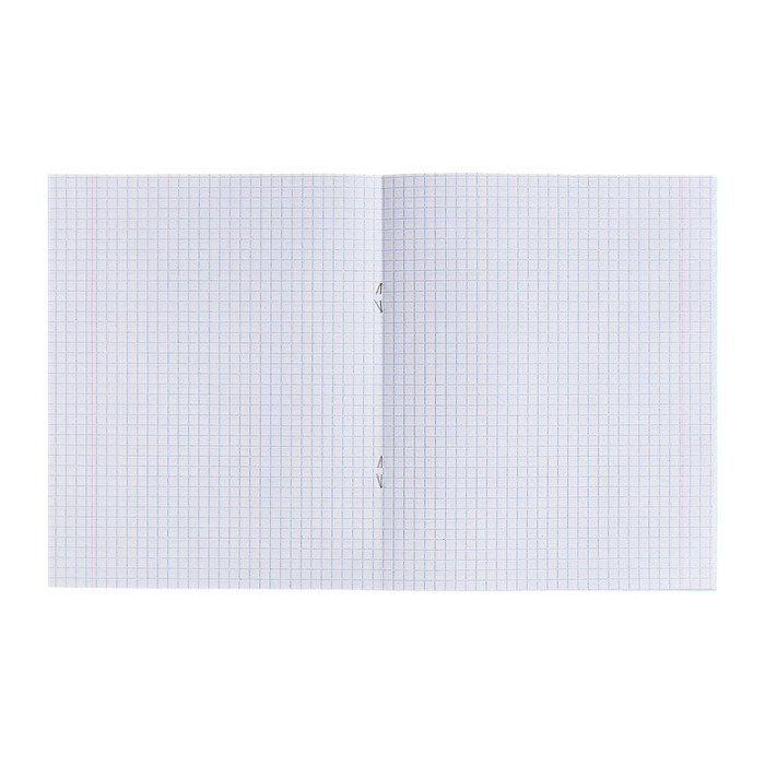 Комплект тетрадей из 10 штук, 24 листа в клетку КПК "Зелёная обложка", блок офсет, 58-62 г/м², белизна 90%