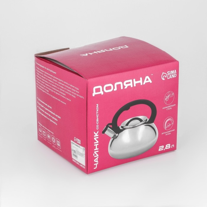 Чайник со свистком из нержавеющей стали Доляна «Квант», 2,8 л, фиксированная ручка, цвет хромированный