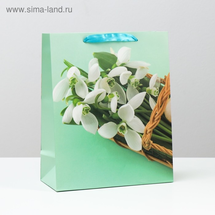 Пакет ламинированный, 26 x 32 x 12 см Пакет ламинированный, 26 x 32 x 12 см