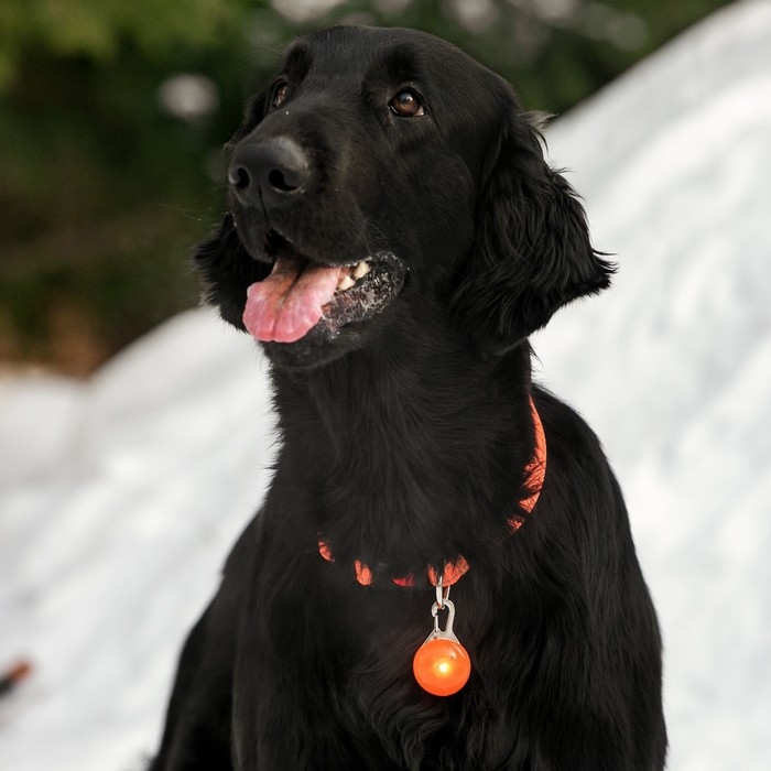 Маячок Сфера 3 режима свечения оранжевый Маячок Сфера 3 режима свечения оранжевый