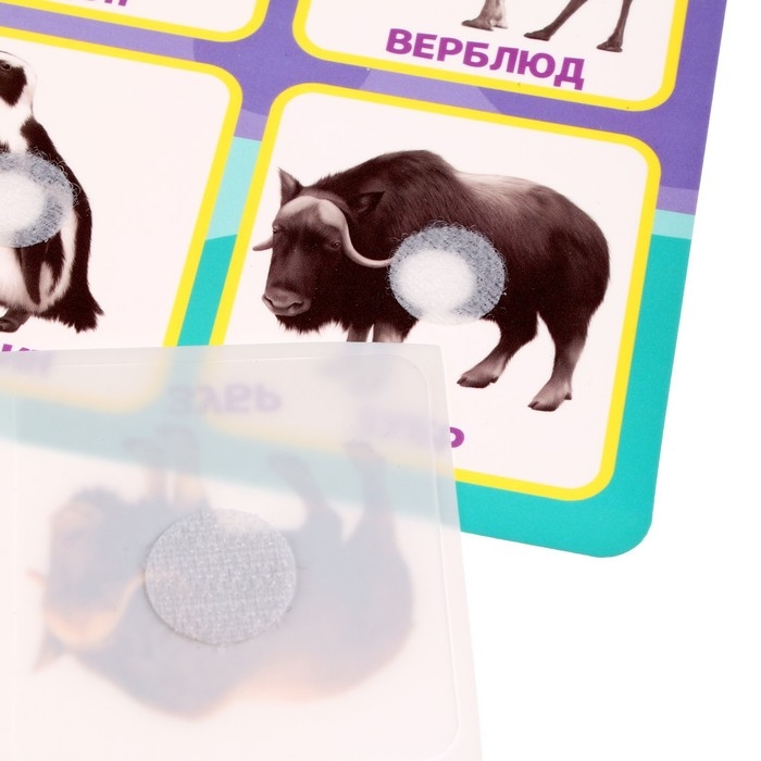 Развивающая игра на липучках «Животные зоопарка», по методике Г. Домана Развивающая игра на липучках «Животные зоопарка», по методике Г. Домана