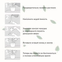 Автополив для комнатных цветов, 380 мл, микс, из пластика, высота 16 см