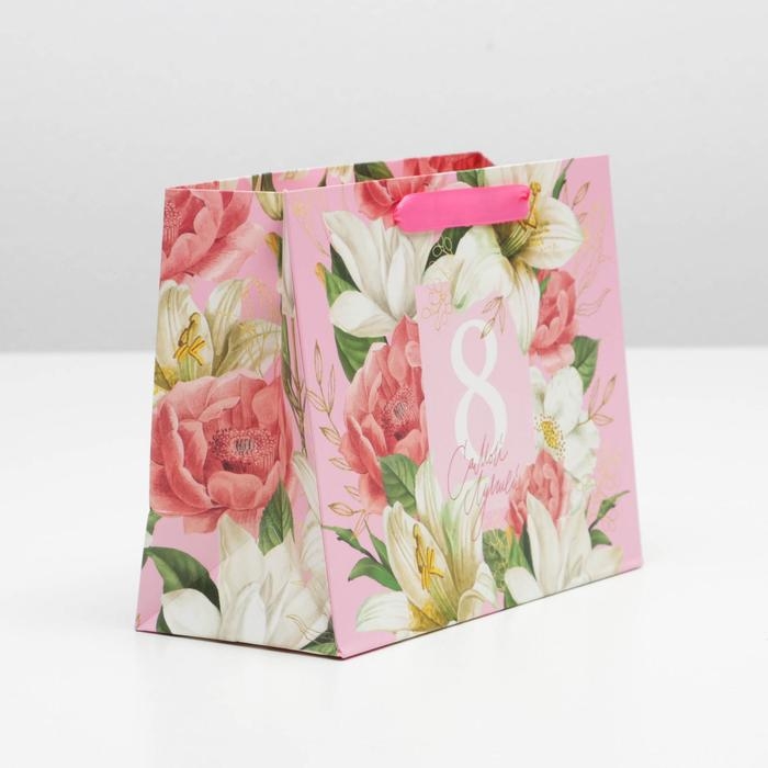 Пакет подарочный ламинированный вертикальный, упаковка, «Самой Лучшей», MS 18 х 23 х 10 см