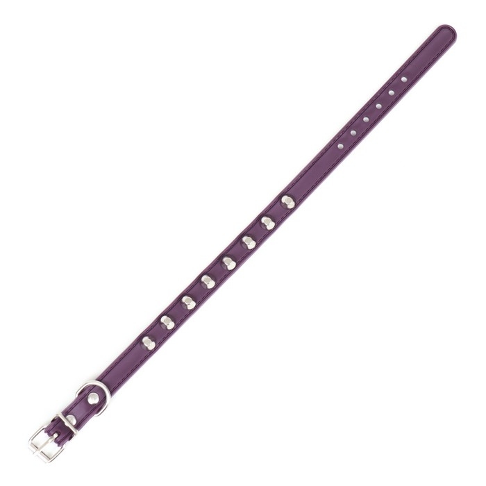 Ошейник с затупленными шипами 38 х 1,5 см, ОШ 26-33, морозостойкий материал PU, фиолетовый Ошейник с затупленными шипами 38 х 1,5 см, ОШ 26-33, морозостойкий материал PU, фиолетовый