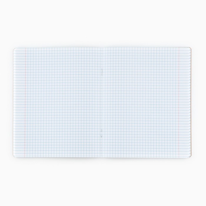 Тетрадь в клетку, 48 листов А5 на скрепке внутренний блок №1 МИКС «1 сентября: Прямо в сердце» твин лак, уф лак