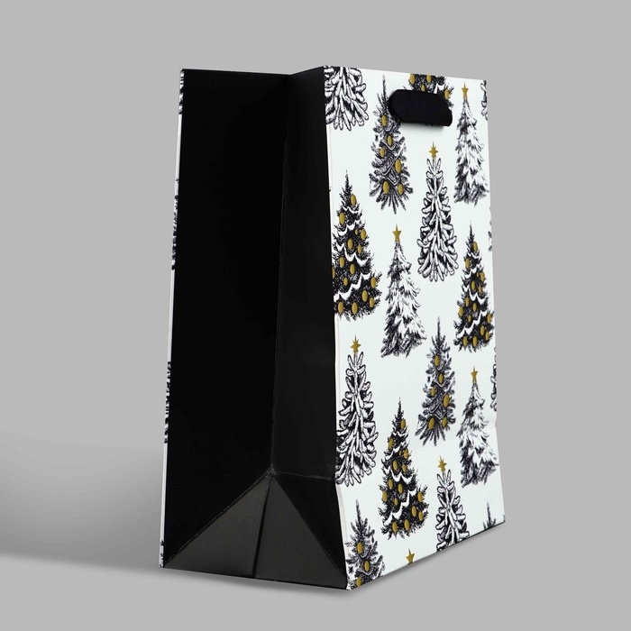 Пакет подарочный новогодний ламинированный «Зимняя сказка», MS 23 x 18 х 10 см Пакет подарочный новогодний ламинированный «Зимняя сказка», MS 23 x 18 х 10 см