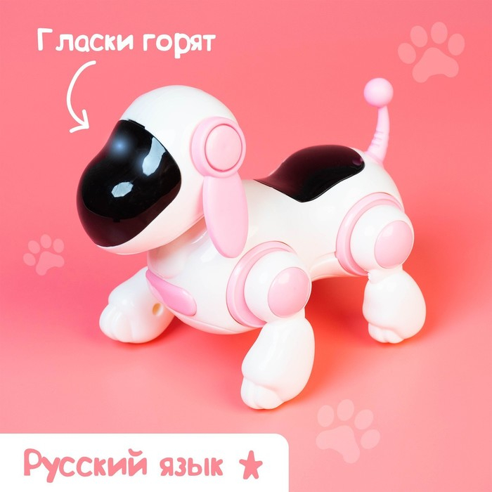 Собачка-робот «Умная Лотти», ходит, поёт, горят глазки, русский язык, работает от батареек, цвет розовый Собачка-робот «Умная Лотти», ходит, поёт, горят глазки, русский язык, работает от батареек, цвет розовый