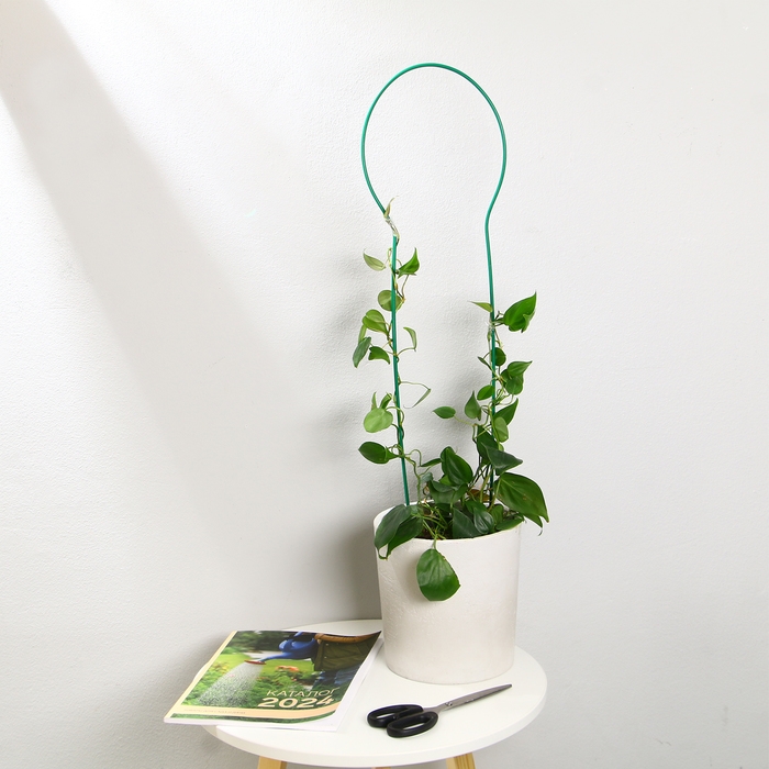 Поддержки для цветов h = 54 см, d = 27 см, металл Поддержки для цветов h = 54 см, d = 27 см, металл