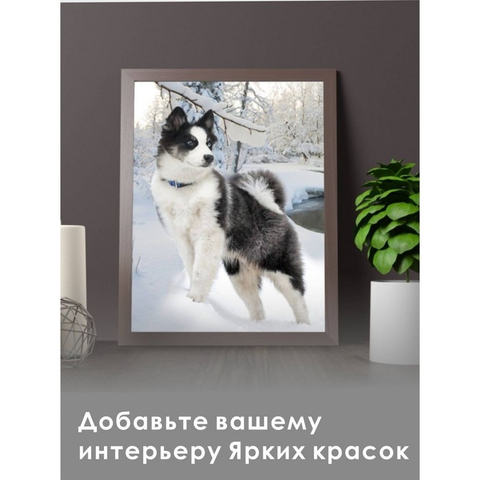 Алмазная мозаика «Хаски», 30 × 40 см Алмазная мозаика «Хаски», 30 × 40 см