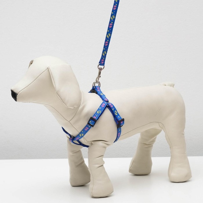 Комплект  Комплект "Цветные следы", ширина 1 см, поводок 120 см, шлейка 23-35 см, синий