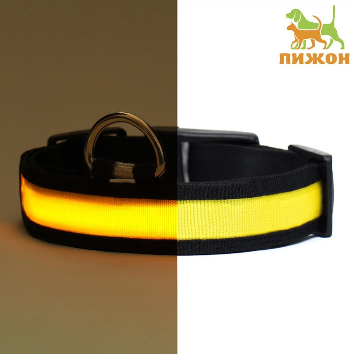 Ошейник с подсветкой Flash 3 режима свечения, размер XL, ОШ 52-60 х 2,5 см жёлтый Ошейник с подсветкой Flash 3 режима свечения, размер XL, ОШ 52-60 х 2,5 см жёлтый