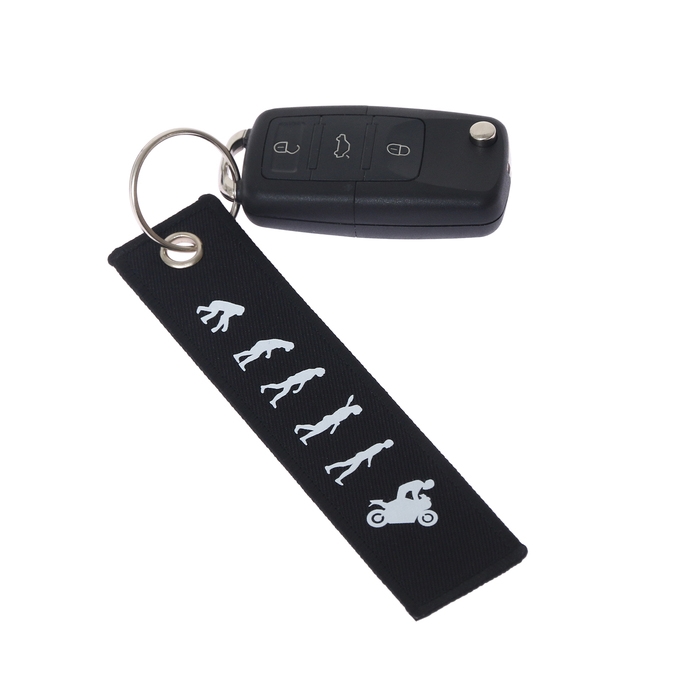 Брелок для автомобильного ключа Брелок для автомобильного ключа "Эволюция", ремувка