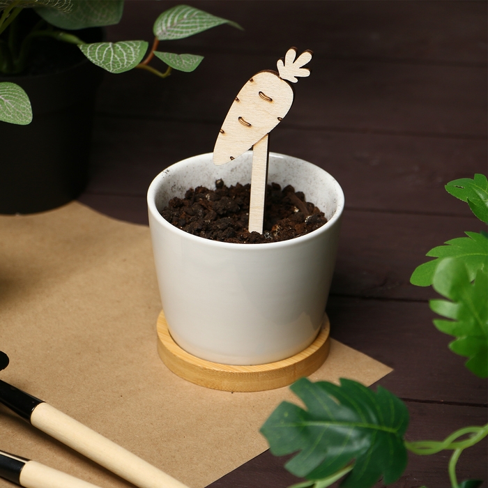 Таблички садовые для маркировки, 12 см, набор 8 шт., дерево, «Морковь», Greengo