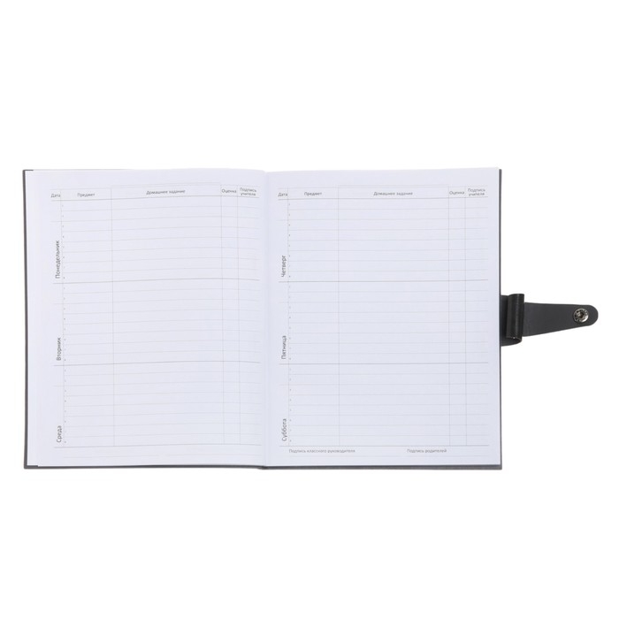 Дневник универсальный для 1-11 классов Favorite, интегральная обложка из искусственной кожи на кнопке, тиснение фольгой, ляссе, 48 листов