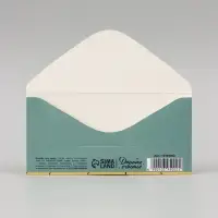 Конверт для денег &laquo;Куры не клюют!&raquo;, 16&times;8 см