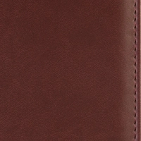 Ежедневник недатированный бордо,А5,148х218мм,176л,ATTACHE Вива